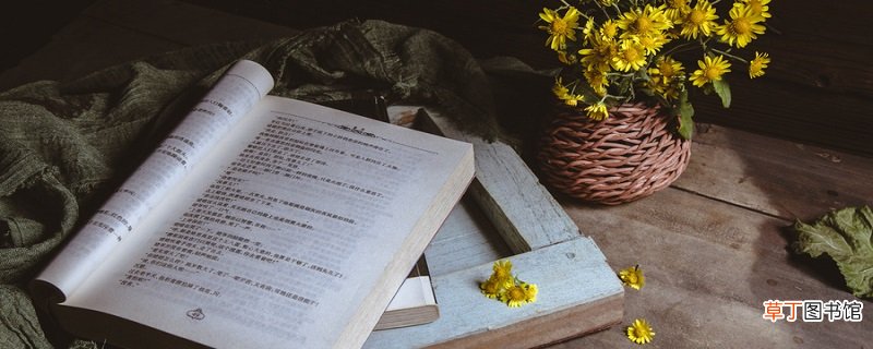 杂兴的意思是什么四时田园杂兴就是指什么杂兴的意思是什么四时田园杂兴的意思是什么