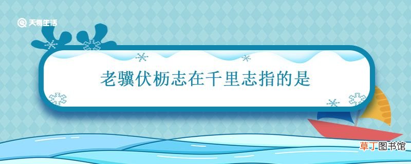 老骥伏枥志在千里志指的是 老骥伏枥志在千里的意思
