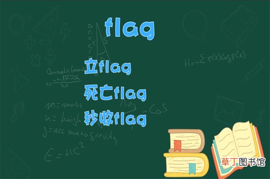 flag是什么意思中文