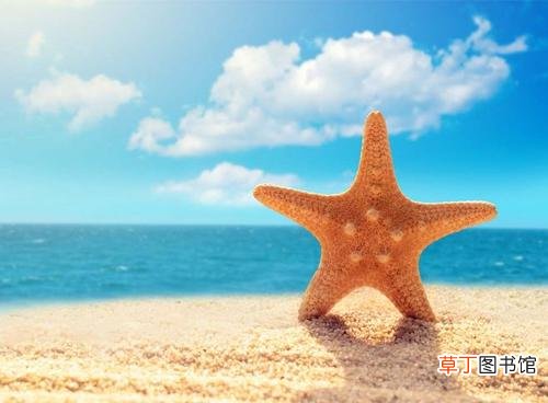 2021年双子女的运势 2021年双子座劫难