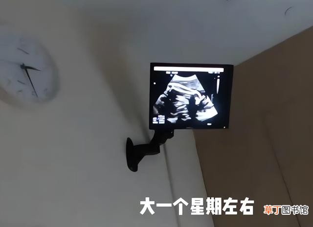 神舟十三号9小时速返地球 宇航员返回地球需要多长时间