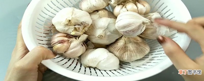 大蒜发芽能吃吗
