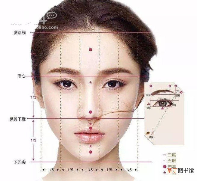 圈内众多美女都曾因此去整容 娱乐圈流行网红脸吗