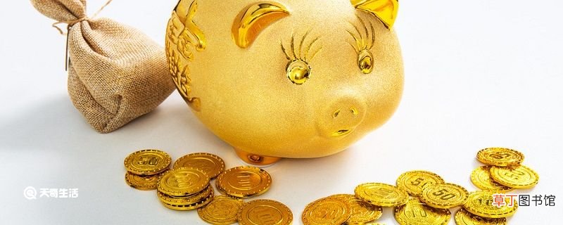 碗中的金币告诉我们什么道理 碗中的金币的道理
