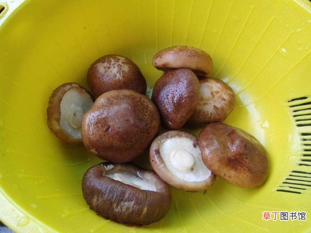 分享6道铁板菜边吃边加热越吃越暖和 铁板烧菜谱大全