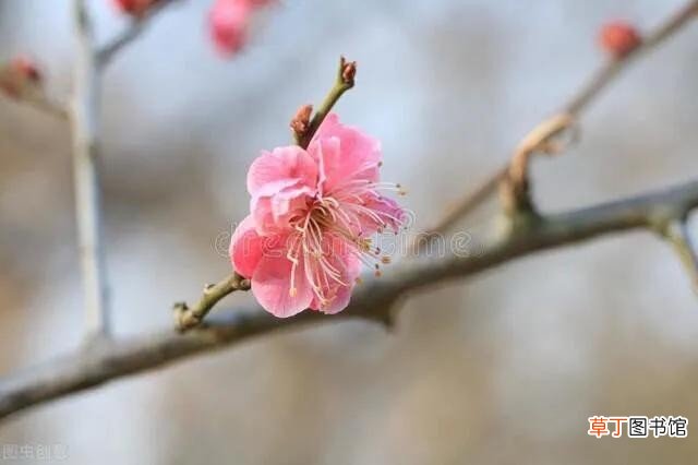 保护环境对人类发展有什么重要意义 环境保护的意义是什么