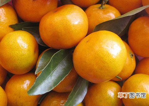 橘子好吃千万别贪嘴 当心橘子吃多了得尿结石