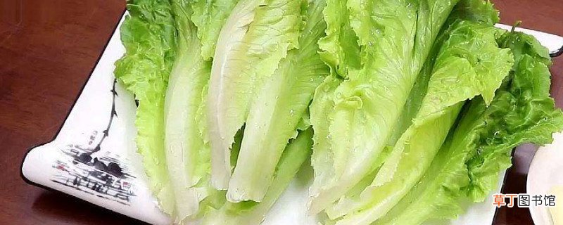 生菜有哪三大禁忌