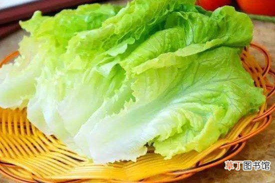 生菜有哪三大禁忌