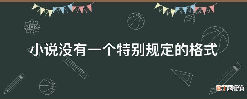 小说没有一个特别规定的格式