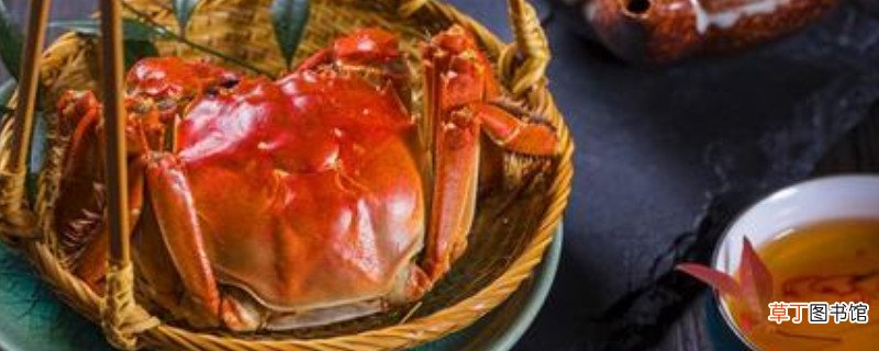 螃蟹不能与什么同吃