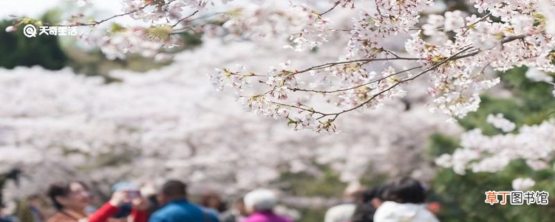 广安市春季赏花去哪里 推荐广安市春季赏花好去处