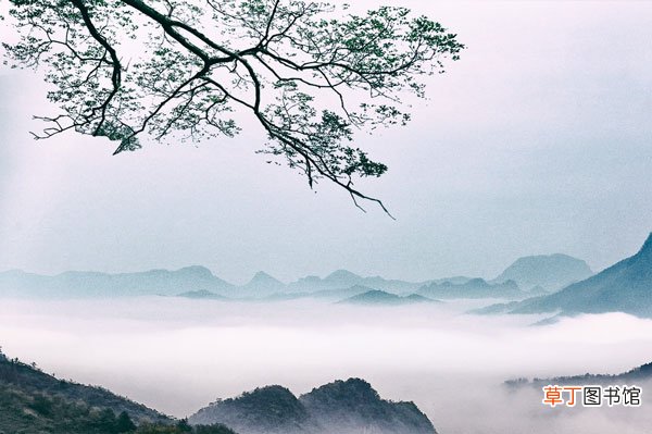 暮春归故山草堂赏析 暮春归故山草堂译文