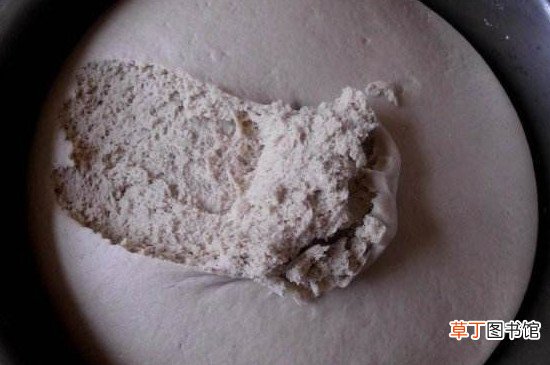 发面发好了是什么样子