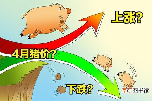 猪肉价格为什么下降这么厉害 猪肉价格跌破每斤15元