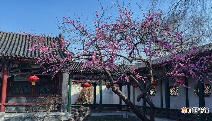 红楼梦第四回概括 红楼梦第四回讲的什么