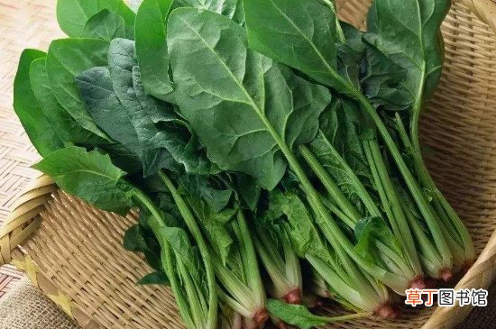 菠菜和鸡肉能一起吃