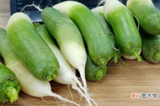 羊肉和青萝卜能一起吃吗