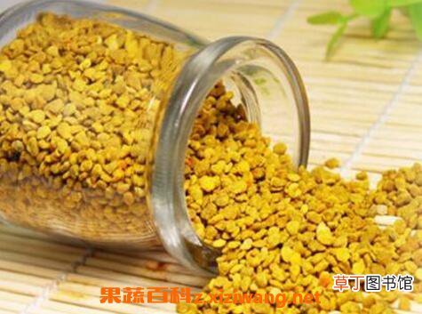 蜂花粉的成分有哪些 蜂花粉的营养价值