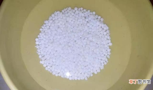 红豆甜汤这样做香浓好喝 红豆糖水的做法