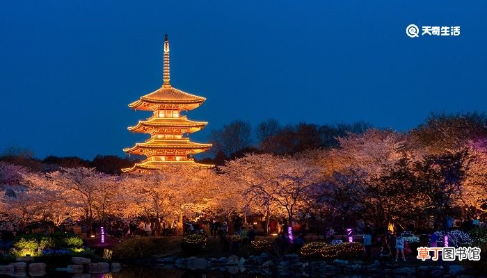 五光十色形容什么 五光十色是形容什么的词语