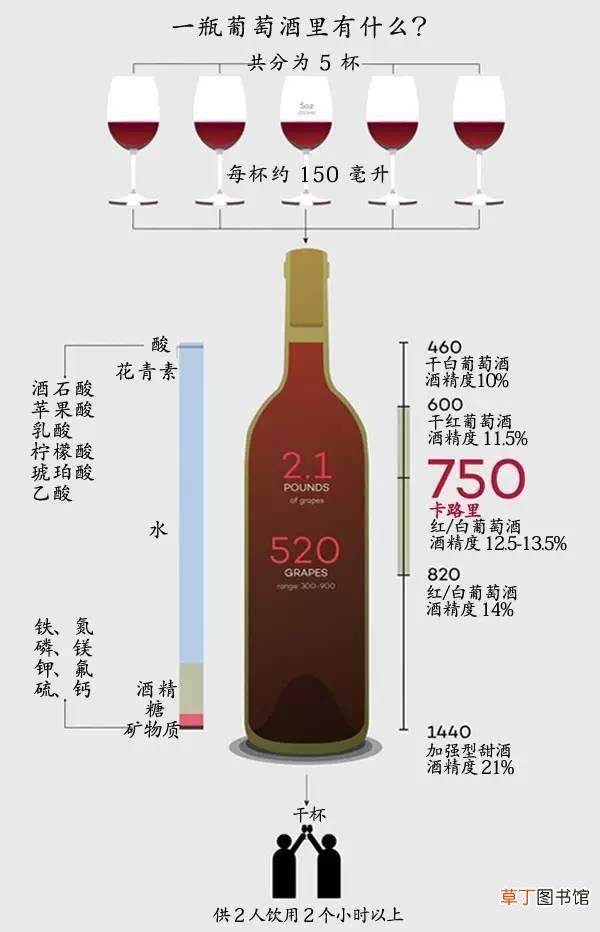 6 条葡萄酒入门小常识 葡萄酒的知识有哪些