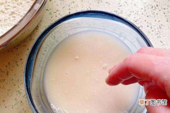 酵母粉发面的做法