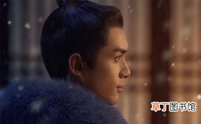 ?星汉灿烂凌不疑是谁的儿子