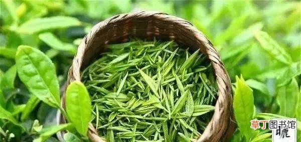 江西十大名茶，你最爱哪一款 江西产什么茶