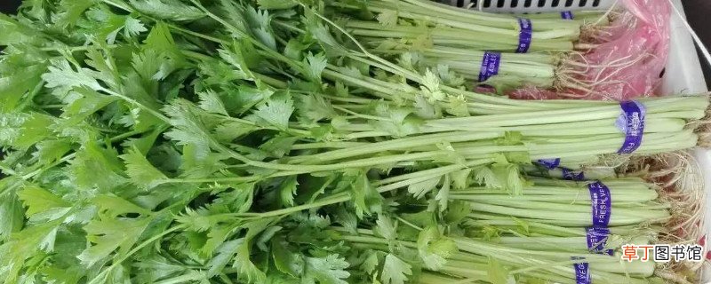芹菜和牛奶能一起吃吗