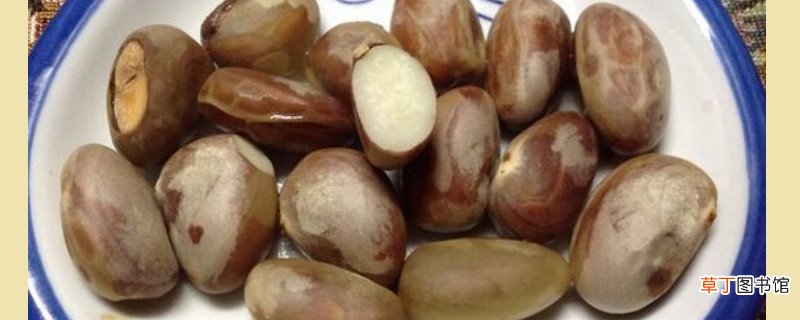 菠萝蜜的籽可以吃吗