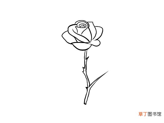 月季花简笔画