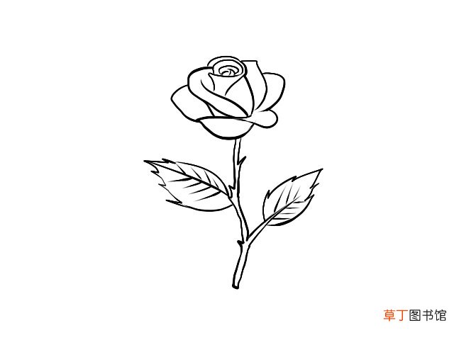 月季花简笔画