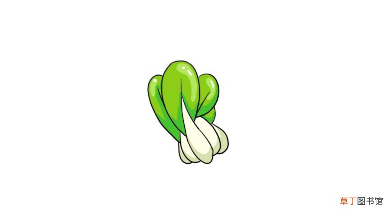 白菜简笔画