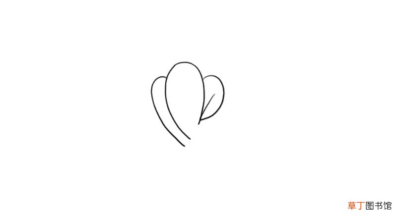 白菜简笔画