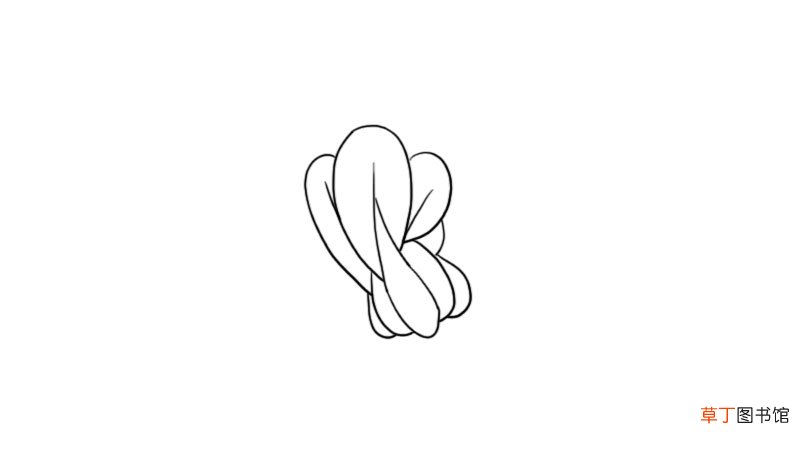 白菜简笔画