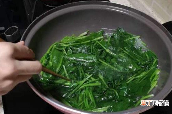 菠菜烫多久可以吃