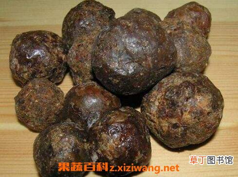 蜂胶胶囊如何吃 蜂胶的食用方法