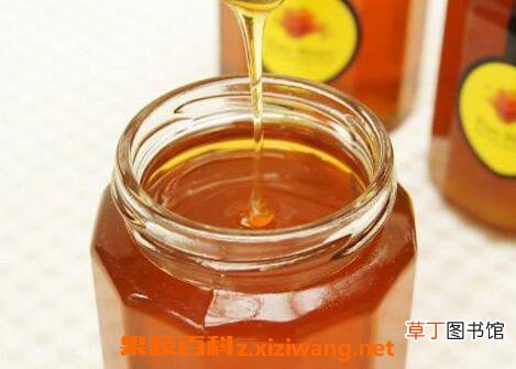 龙眼蜜的作用与功效