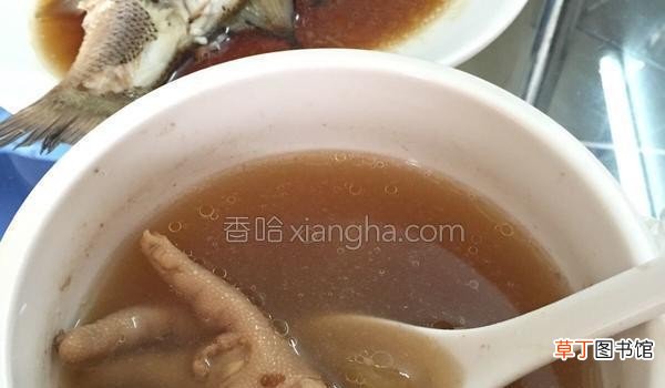广东人鸡脚煲什么汤好 鸡脚汤的做法和步骤