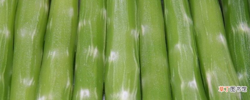 莴笋发芽还能吃吗