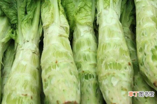 莴笋发芽还能吃吗