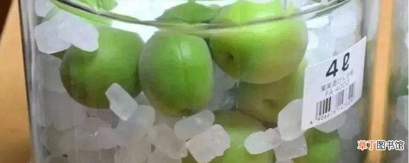 青梅冰糖的作用与功效