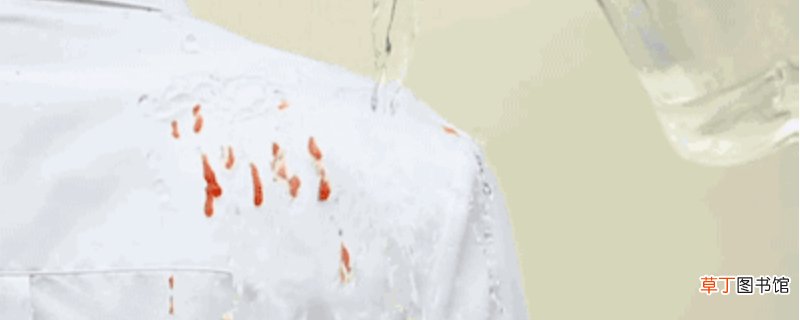 番茄酱弄到白衣服上怎么清洗