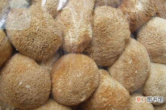 猴头菇怎么泡发