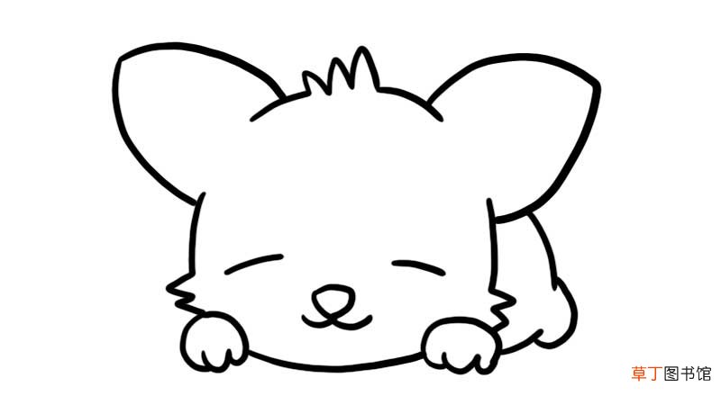 睡觉的柯基简笔画