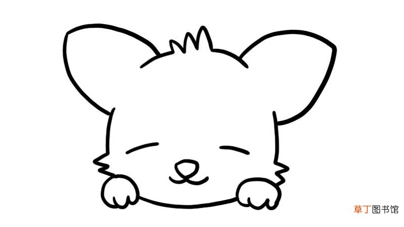 睡觉的柯基简笔画