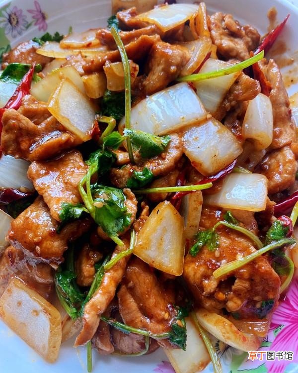 孜然肉片怎么做好吃还嫩 孜然肉片的家常做法