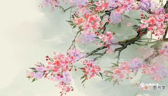 枝间新绿一重重小蕾深藏数点红是什么季节的海棠 枝间新绿一重重是什么花
