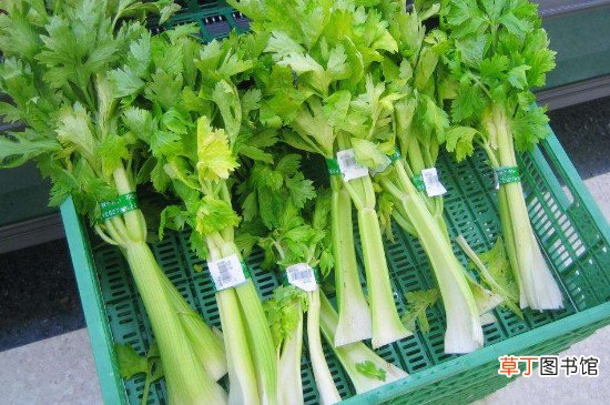 芹菜和土豆能一起吃吗